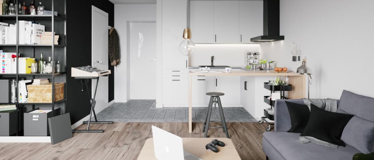 Transitional Project